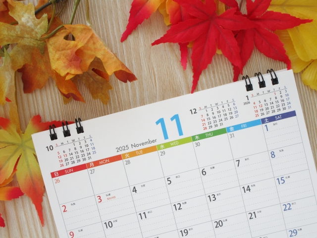 2025年11月